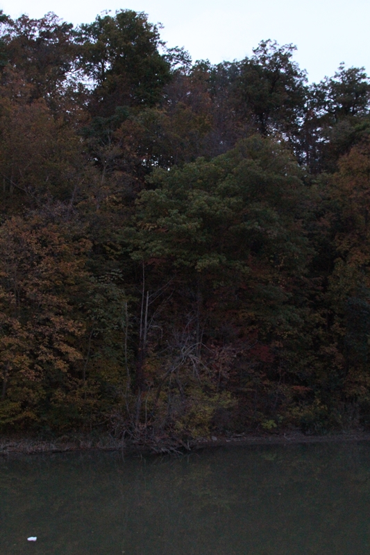 slideshow